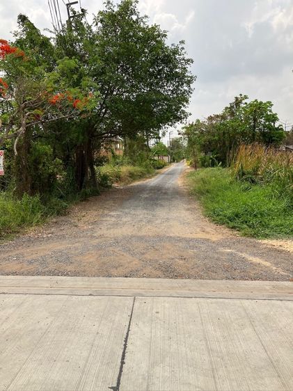 ใช่ ขายที่ดิน ใกล้เมืองทอง ธานี รูปที่ 4