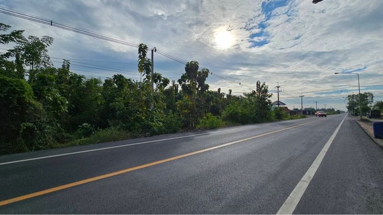 ขายที่ดินนครสวรรค์ รูปที่ 2