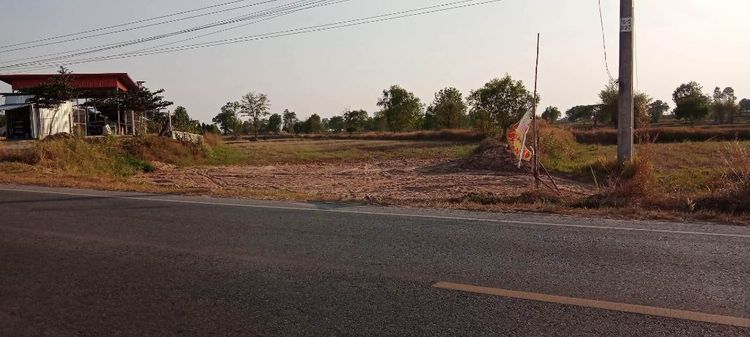 ขายที่ดินติดถนนหลวง เส้น2063 ใกล้อ.บรบือ จ.มหาสารคาม  รูปที่ 4