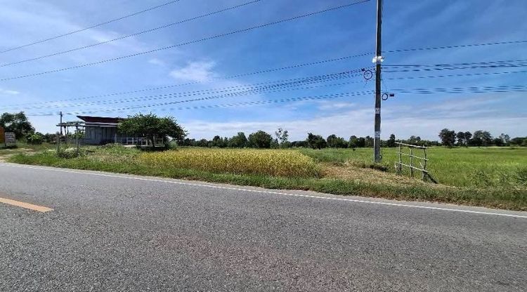 ขายที่ดินติดถนนหลวง เส้น2063 ใกล้อ.บรบือ จ.มหาสารคาม  รูปที่ 2