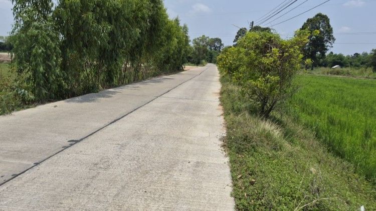 ใช่ ขายที่นาติดถนนคอนกรีตเนื้อที่6ไร่3งาน80ตรว รูปที่ 4