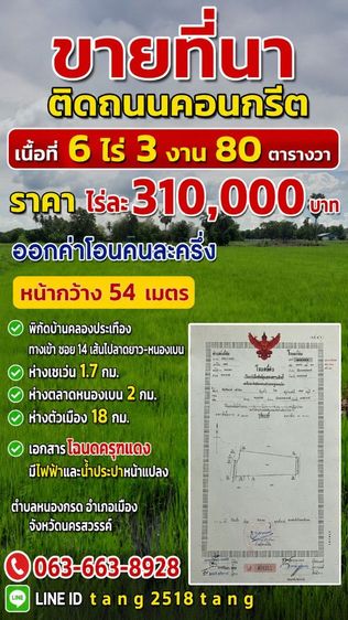 ใช่ ขายที่นาติดถนนคอนกรีตเนื้อที่6ไร่3งาน80ตรว