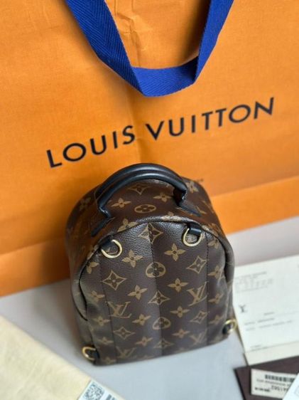 lv palm spring กระเป๋า รูปที่ 5