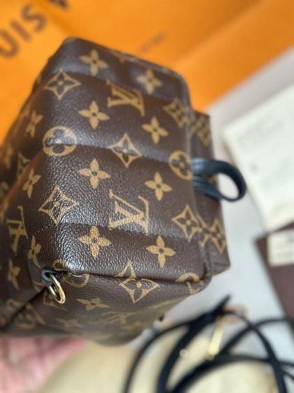 lv palm spring กระเป๋า รูปที่ 6