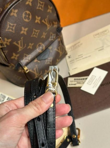 lv palm spring กระเป๋า รูปที่ 3