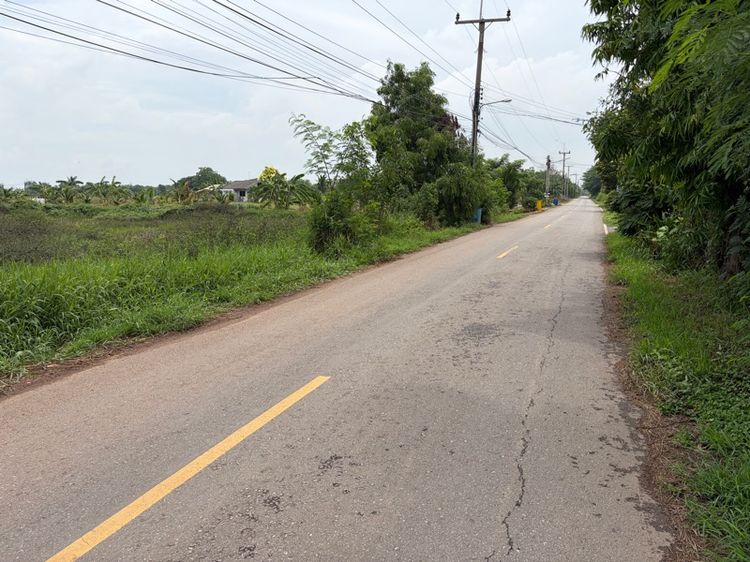ที่ดินเปล่าสวยๆ รูปที่ 2
