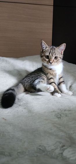 หาผู้ปกครองให้น้องเพศ ญ  รูปที่ 2