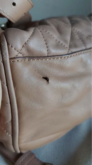 กระเป๋าสะพาย Mulberry ของแท้รุ่นลิมิเต็ดอิดิชั่น รูปที่ 18