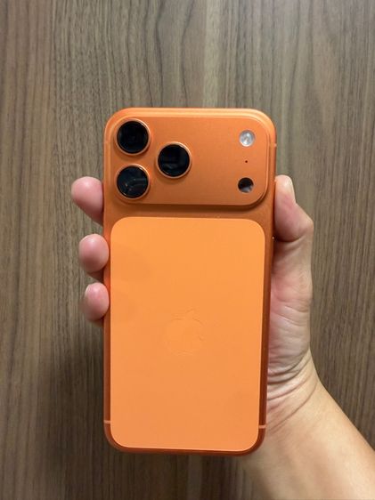 17 pro max  รูปที่ 9