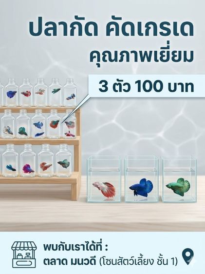 ตู้ปลา ไม้น้ำ พร้อมปลา ทั้งเซท รูปที่ 2