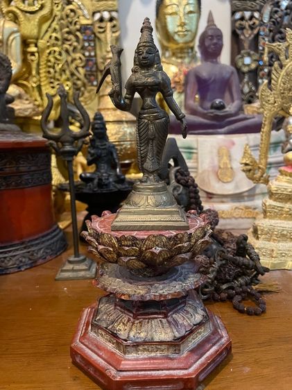 อื่นๆ พระแม่มีนัคชี(ปางอวตารพระแม่ปาราวตี) 