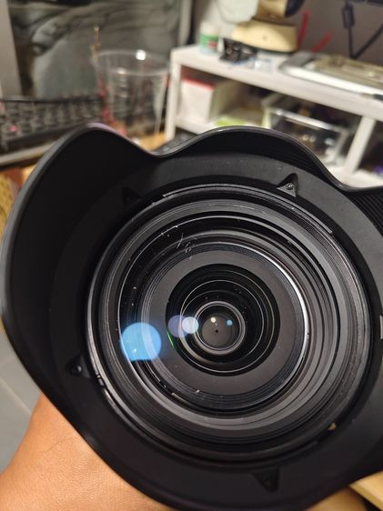 เลนส์มาตรฐาน sigma 24-70 Sony