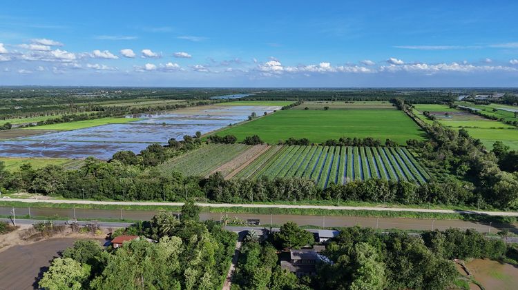 ขายถูกที่ดิน 600 ไร่ สระบุรี