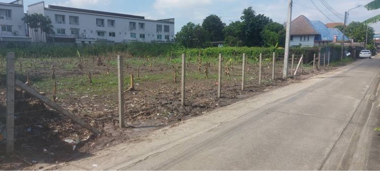 ขายที่ดินเปล่า ซอย ติวานนท์38 รูปที่ 3