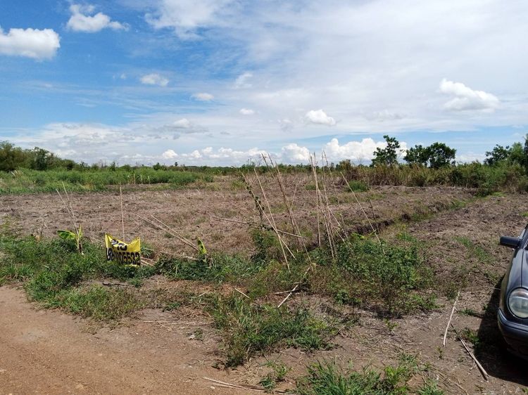 ขายที่ดินบางบัวทอง 2 ไร่ ทรงสวย เหมาะทำบ้านสวน-โกดัง ใกล้ ถ.340 สุพรรณบุรี รูปที่ 4