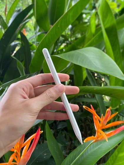 Apple pencil2 รูปที่ 4
