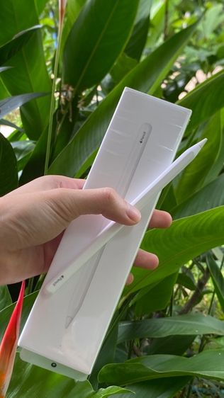 Apple pencil2 รูปที่ 7