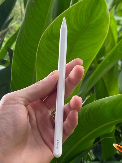 Apple pencil2 รูปที่ 8
