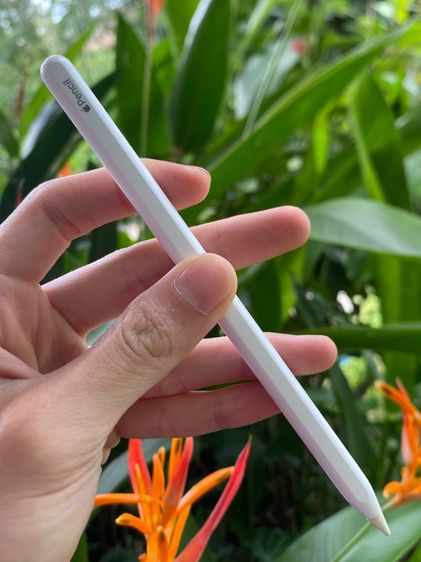 Apple pencil2 รูปที่ 5