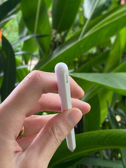 Apple pencil2 รูปที่ 6