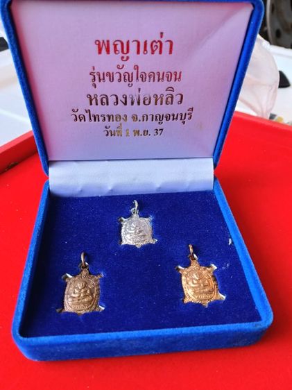 เต่าวัดไทรทอง