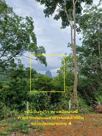 แบ่งขายที่ดินวิวอ่าวพังงา 360° ใกล้เสม็ดนางชี จ.พังงา (ที่ดินแบ่งขาย) พังงา รูปที่ 2