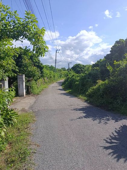 บ้านพร้อมที่ดิน รูปที่ 4