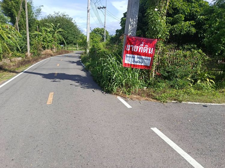 บ้านพร้อมที่ดิน รูปที่ 3