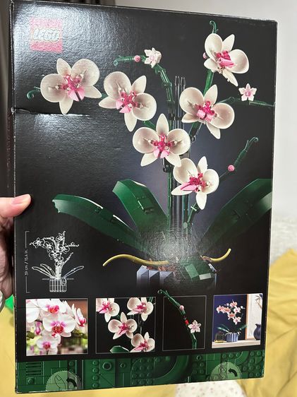 Lego Botanical Collection Orchid รุ่น 10311 รูปที่ 3