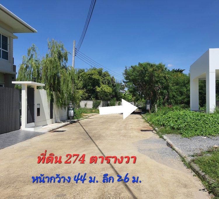 《ยินดีรับนายหน้า》ขายที่ดิน 274 ตร.ว โครงการ เอเวอร์กรีน ซิตี้ ใกล้รถไฟฟ้าMRTหลักสอง เดอะมอลล์บางแค