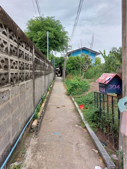 บ้านเดี่ยว 40 ตร.วา