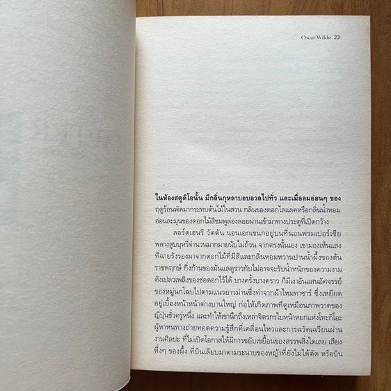 DORIAN GRAY ภาพวาดโดเรียน เกรย์ รูปที่ 5