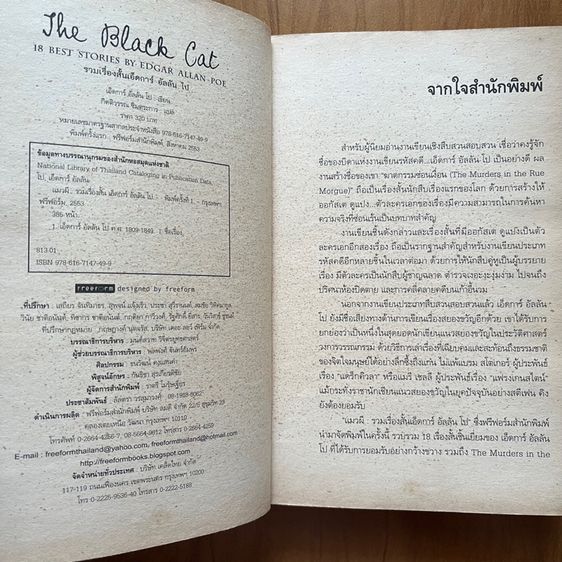 The Black Cat แมวผี รูปที่ 3