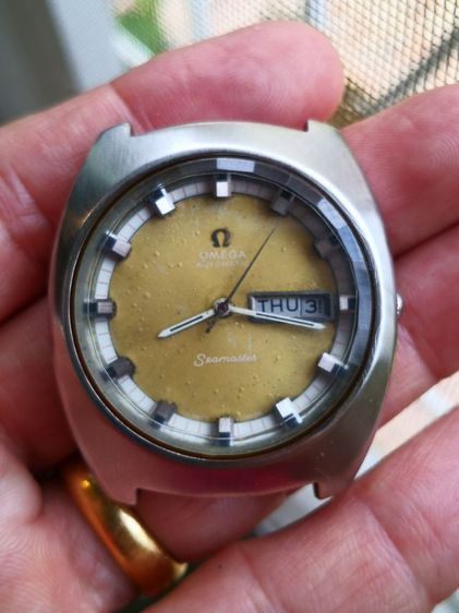 OMEGA Seamaster จัมโบ้ รูปที่ 12