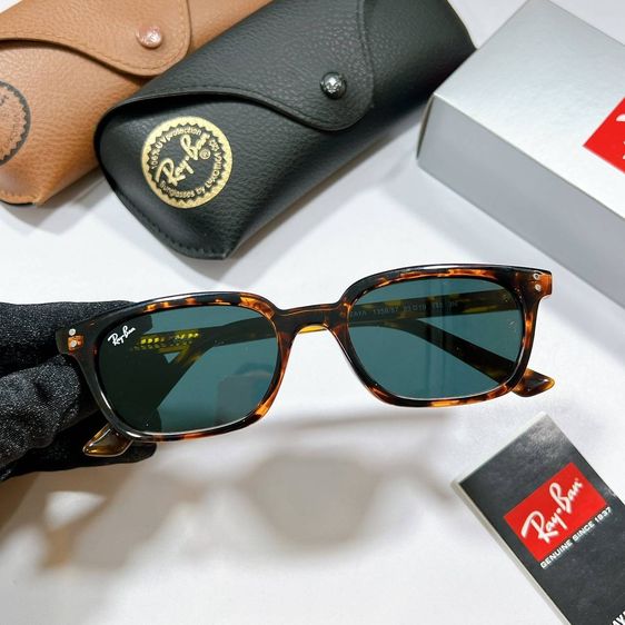 Ray-Ban Zaya (รหัสรุ่น RB4456) ทรงสี่เหลี่ยมสไตล์แคทอายส์นิดๆ แว่นตา รูปที่ 11