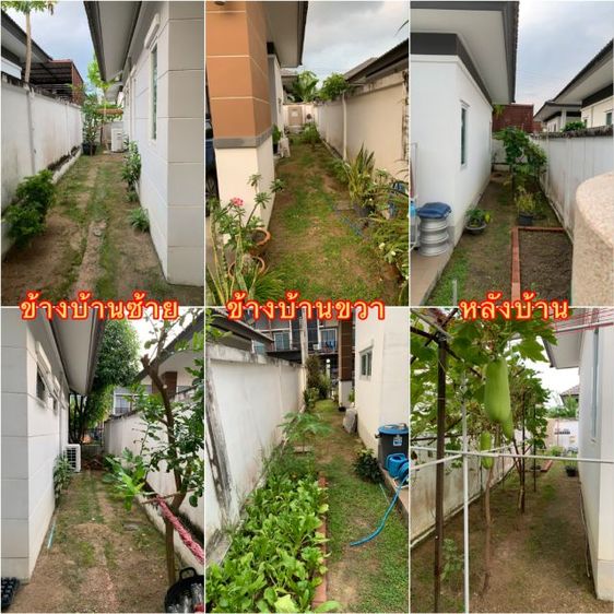 อื่นๆ มีบางส่วน 2016 ใช่ ขายด่วน บ้านเดี่ยวชั้นเดียว 3 ห้องนอน 2 ห้องน้ำ รูปที่ 4