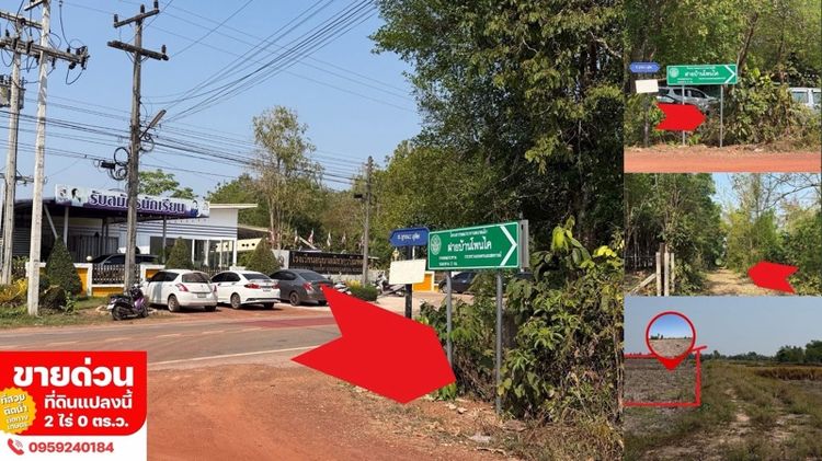 ใช่ ขายที่สวยสำหรับสร้างบ้าน หรือทำการเกษตร รูปที่ 2