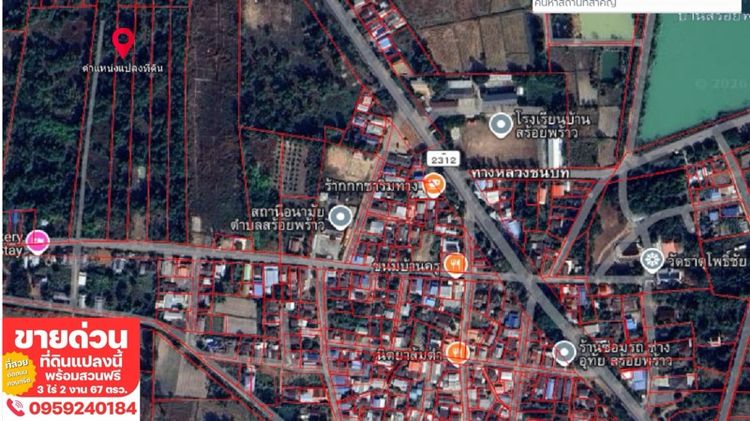 ไม่ใช่ ขายที่สวยพร้อมสวนไม้ป่านานนานพันธุ์ รูปที่ 3