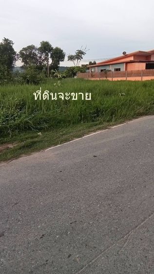 ขายที่ดิน 189 ตรว ต.ตาลเดี่ยว อ.แก่งคอย ห่างถนนแก่งคอยบ้านนา 1.3 กม ขาย7 แสนบาท รูปที่ 4