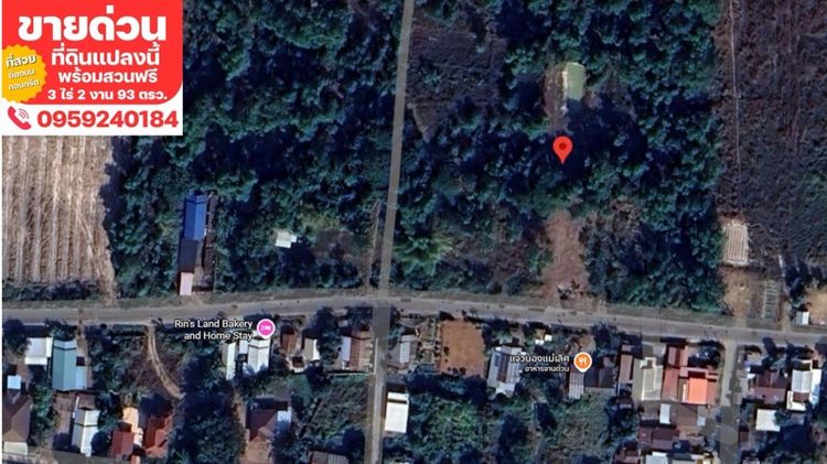 ไม่ใช่ ขายที่ดินสวย ติดถถหลัก เหมาะสร้างทำบ้าน คาเฟ่ หรือโรงงาน รูปที่ 3