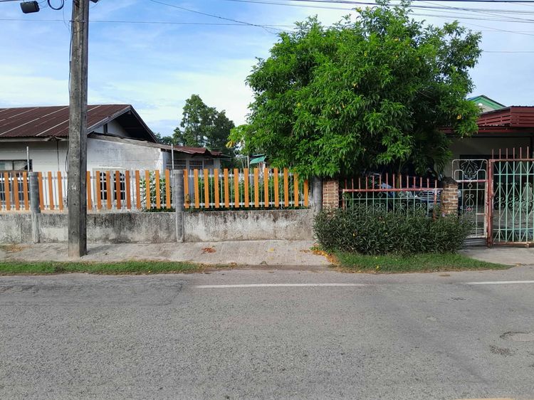 ที่ดินสวย รูปที่ 4