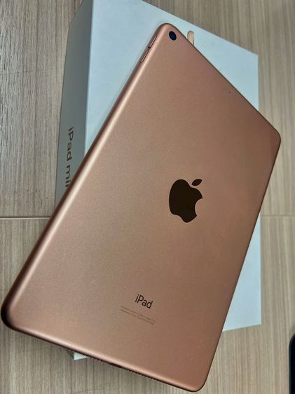 Apple 64 GB iPad mini 5 64gb wifi สี rose gold