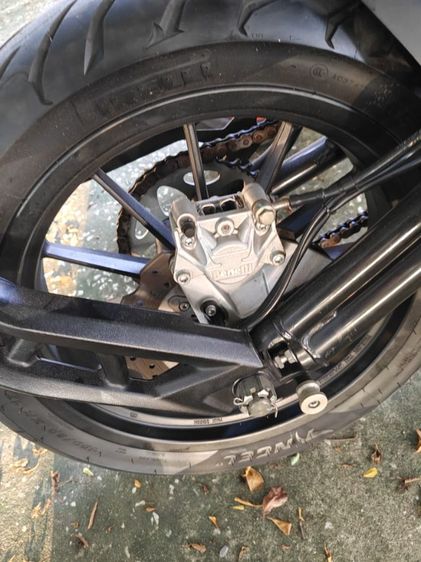 BENELLI 502C 2026 บิ๊กไบค์ Big bike รูปที่ 6
