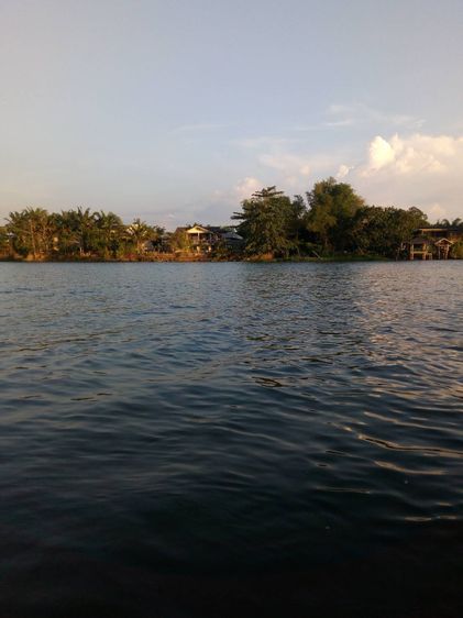 ขายที่ดินพร้อมตึกนกนางแอ่น และ บ้านเดี่ยว 1 หลังติดแม่น้ำตาปี รูปที่ 1