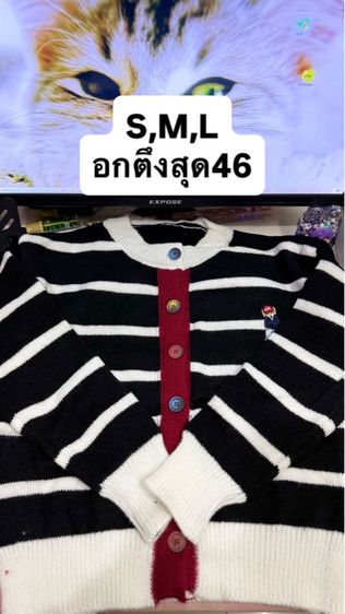 ไหมพรมลายทาง หมี