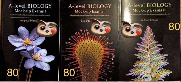 หนังสือเตรียมสอบ A Level สภาพดีมาก ครึ่งราคา 🔥 รูปที่ 7