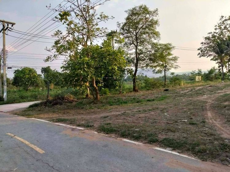 ที่ดินทำเลทองโฉนดครุฑแดง รูปที่ 2