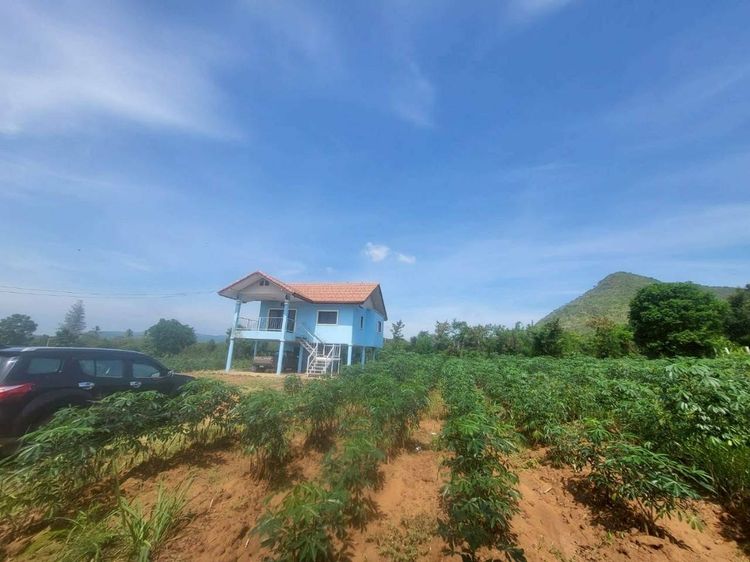 อื่นๆ ไม่มี 2019 บ้านพร้อมที่ดิน รูปที่ 3