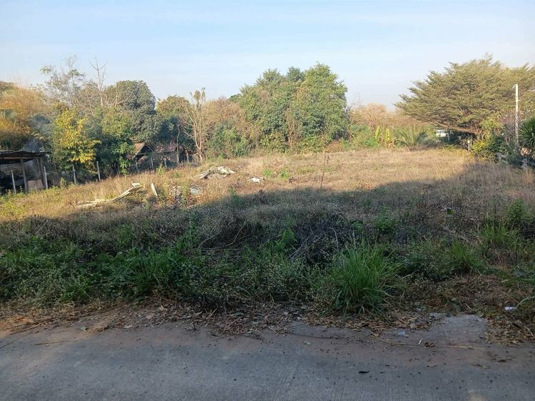ที่ดินสวยใกล้ถนนมิตรภาพเพียง 100 เมตร รูปที่ 2