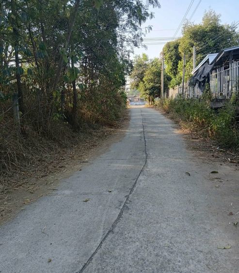 ที่ดินสวยใกล้ถนนมิตรภาพเพียง 100 เมตร รูปที่ 4